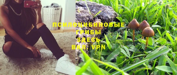 каннабис Абаза