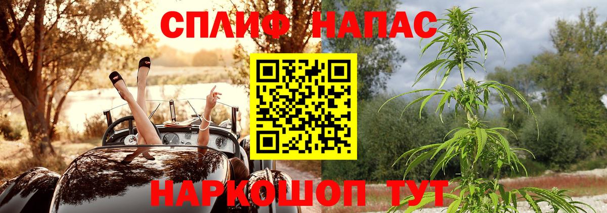 Бошки Шишки тримм  Вход с VPN  Знаменск  Бошки Шишки Amnesia  Бошки марихуана индика 